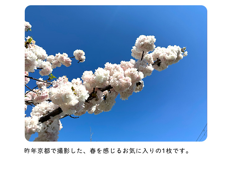 昨年京都で撮影した、春を感じるお気に入りの1枚です。