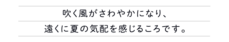 遠くに夏の気配を感じるころです。