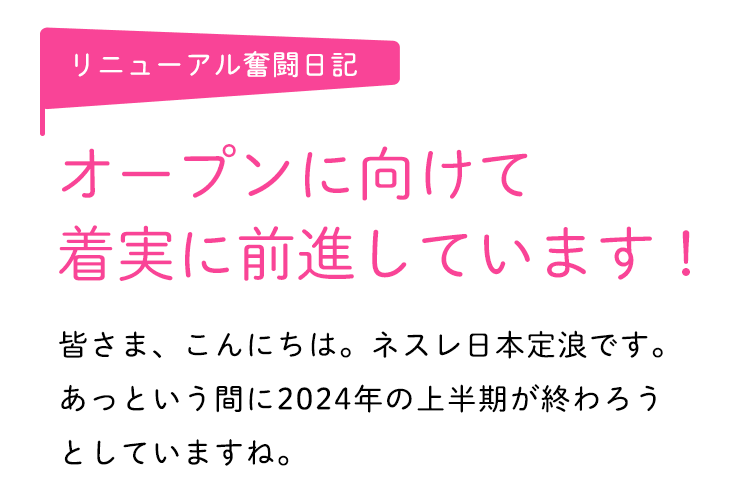 リニューアル奮闘日記