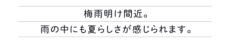 梅雨明け間近。雨の中にも夏らしさが感じられます。