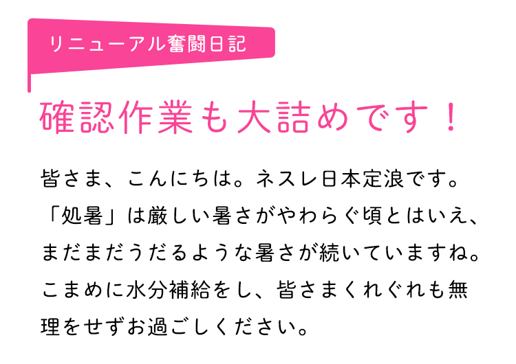 リニューアル奮闘日記