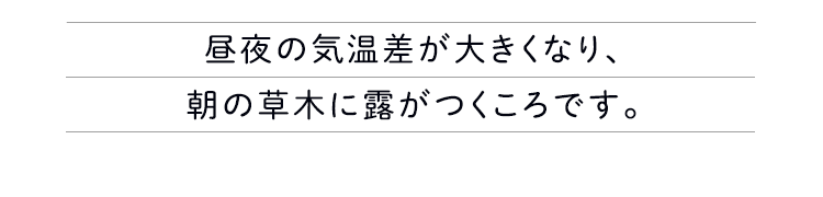 昼夜の気温差が大きくなり、朝の草木に露がつくころです。