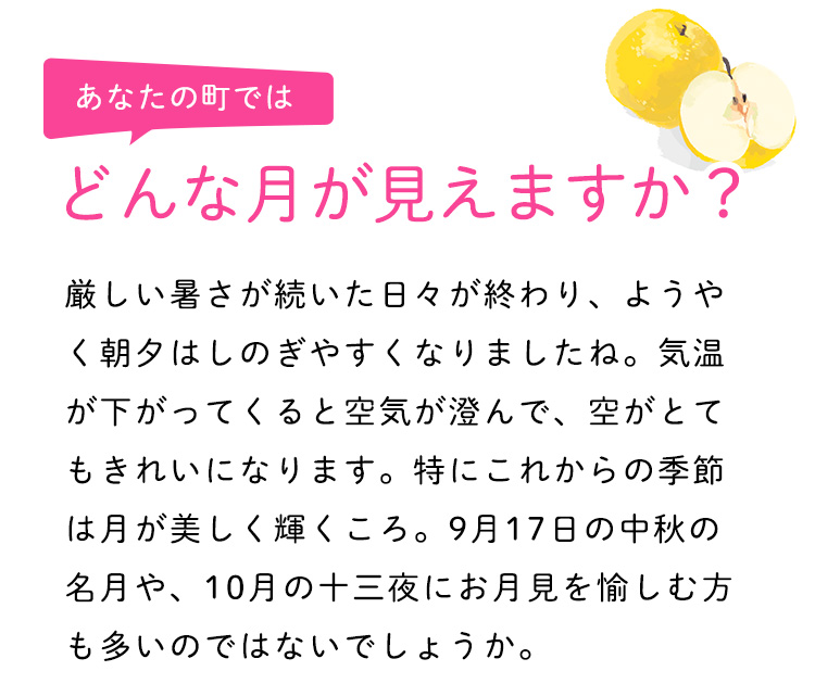 どんな月が見えますか？