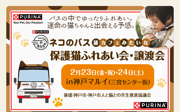 ネコのバス 猫カフェみたいな 保護猫ふれあい会・譲渡会 2月23日（金・祝）24日（土）in神戸マルイ（三宮センター街）