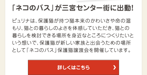 「ネコのバス」が神戸三宮に出動！