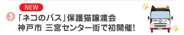 【NEW】「ネコのバス」保護猫譲渡会　神戸市 三宮センター街で初開催！