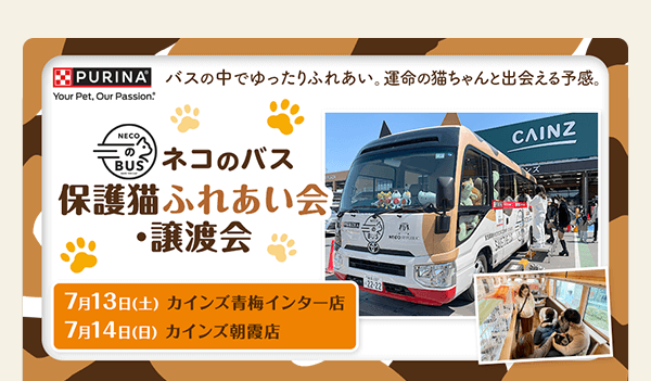 ネコのバス 保護猫ふれあい会・譲渡会　7月13日（土）カインズ青梅インター店・7月14日（日）カインズ朝霞店