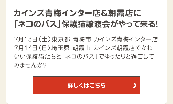 カインズ青梅インター店＆朝霞店に「ネコのバス」保護猫譲渡会がやって来る！