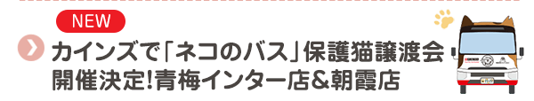 【NEW】カインズで「ネコのバス」保護猫譲渡会開催決定！青梅インター店＆朝霞店