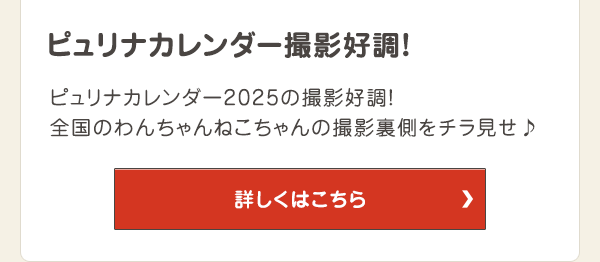 ピュリナカレンダー撮影好調！