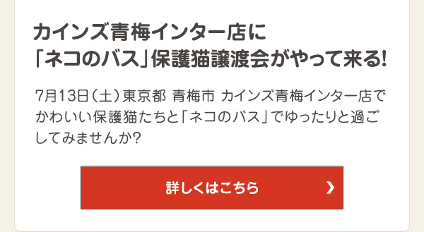 カインズ青梅インター店に「ネコのバス」保護猫譲渡会がやって来る！