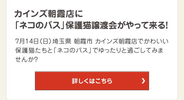 カインズ朝霞店に「ネコのバス」保護猫譲渡会がやって来る！