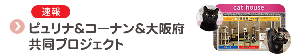 【速報】ピュリナ＆コーナン＆大阪府 共同プロジェクト「おとな猫譲渡促進プロジェクト」