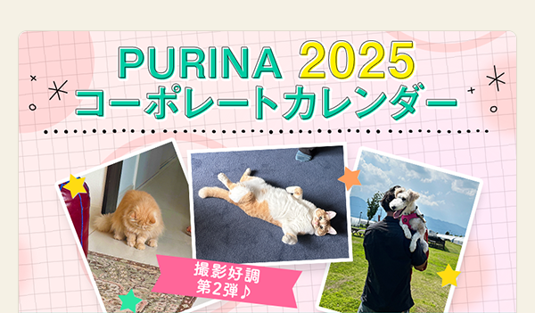 PURINA 2025 コーポレートカレンダー　撮影好調！～第2弾～