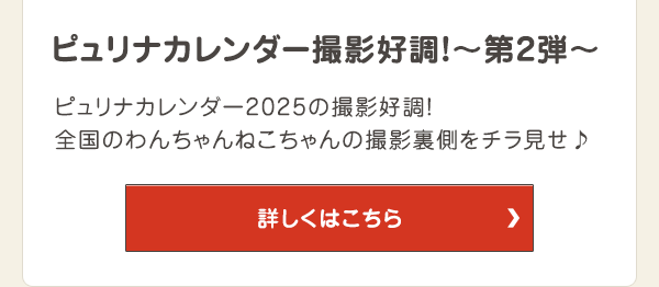 ピュリナカレンダー撮影好調！～第2弾～