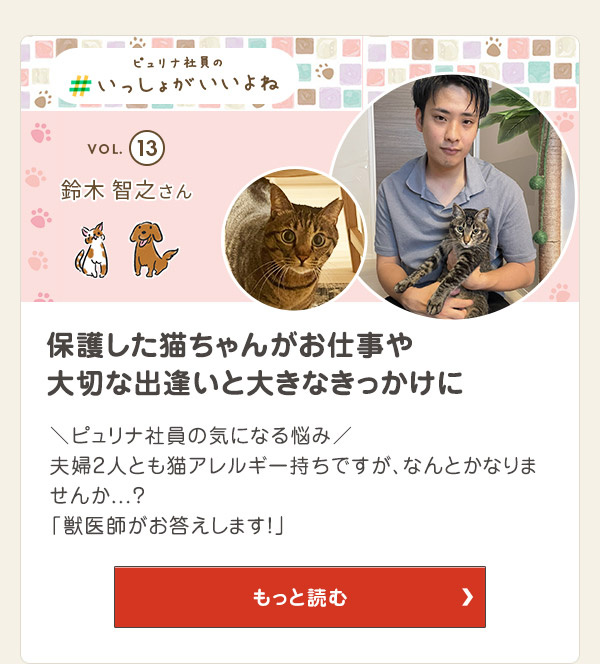 ピュリナ社員のいっしょがいいよね　保護猫が大切な出逢いのきっかけに