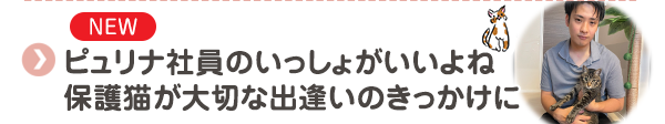 【NEW】ピュリナ社員のいっしょがいいよね　保護猫が大切な出逢いのきっかけに