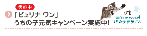 【実施中】「ピュリナ ワン」　うちの子元気キャンペーン実施中！