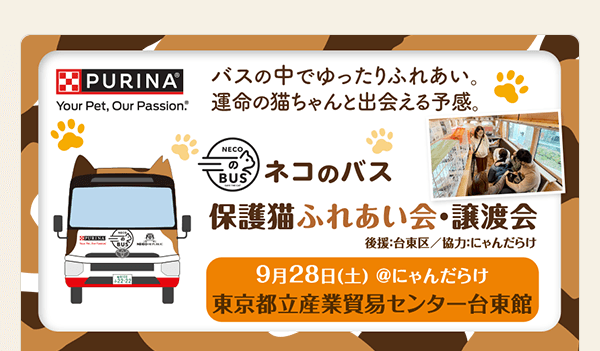 「ネコのバス」保護猫ふれあい会・譲渡会