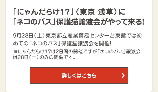 「にゃんだらけ17」（東京 浅草）に「ネコのバス」保護猫譲渡会がやって来る！