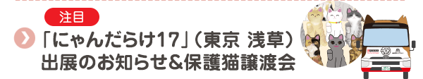 【注目】「にゃんだらけ17」（東京 浅草）出展のお知らせ＆保護猫譲渡会