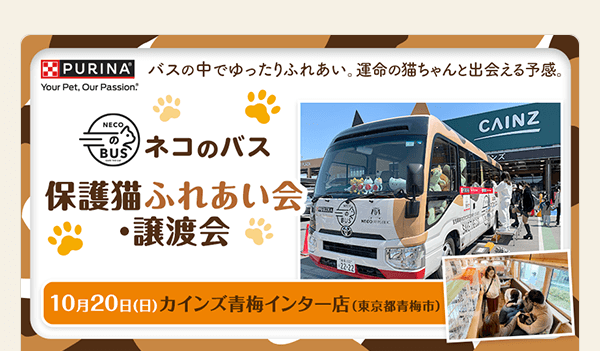 ネコのバス 保護猫ふれあい会・譲渡会 10月20日（日）カインズ青梅インター店（東京都青梅市）