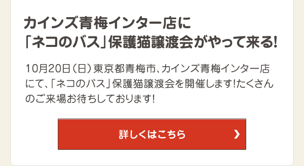 カインズ青梅インター店に「ネコのバス」保護猫譲渡会がやって来る！