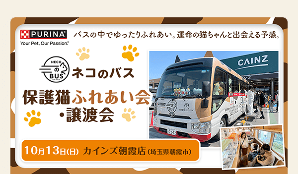 ネコのバス 保護猫ふれあい会・譲渡会 10月13日（日）カインズ朝霞店（埼玉県朝霞市）