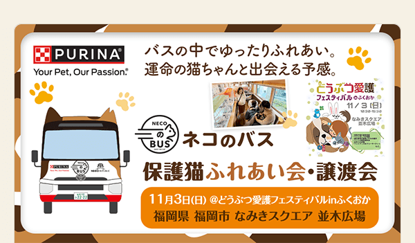 ネコのバス 保護猫ふれあい会・譲渡会 11月3日（日）＠どうぶつ愛護フェスティバルinふくおか（福岡県福岡市）