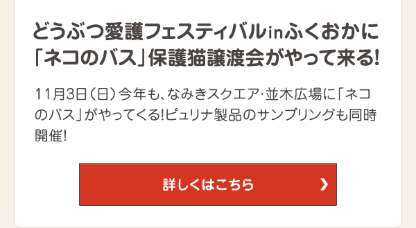 どうぶつ愛護フェスティバルinふくおかに「ネコのバス」保護猫譲渡会がやって来る！