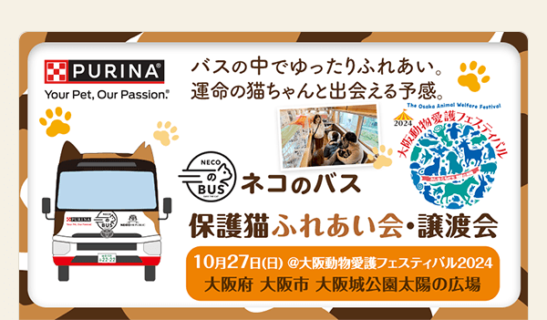 ネコのバス 保護猫ふれあい会・譲渡会 10月27日（日）＠大阪動物愛護フェスティバル2024（大阪府大阪市）