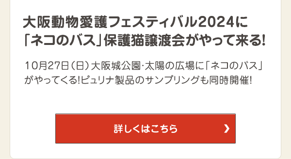 大阪動物愛護フェスティバル2024に「ネコのバス」保護猫譲渡会がやって来る！