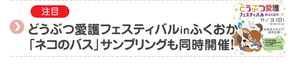 【注目】どうぶつ愛護フェスティバルinふくおか「ネコのバス」サンプリングも同時開催！