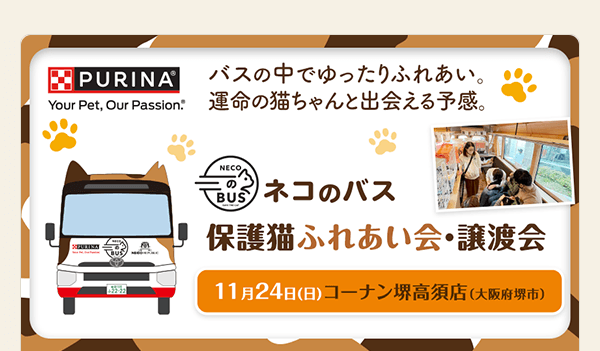 「ネコのバス」保護猫ふれあい会・譲渡会 11月24日（日）コーナン堺高須店（大阪府堺市）