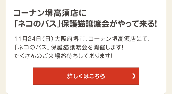 コーナン堺高須店に「ネコのバス」保護猫譲渡会がやって来る！