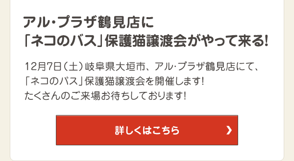 アル・プラザ鶴見店に「ネコのバス」保護猫譲渡会がやって来る！