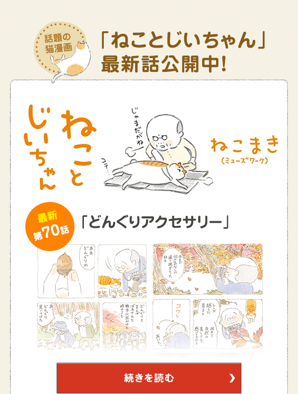 話題の猫漫画「ねことじいちゃん」最新話公開中！ 第70話 どんぐりアクセサリー