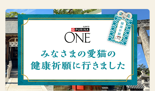 キャンペーン当選プレゼントのレポート