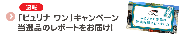 【速報】「ピュリナ ワン」キャンペーン　当選品のレポートをお届け！