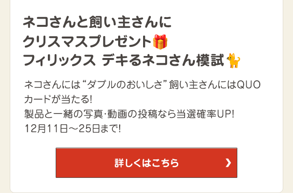 ネコさんと飼い主さんにクリスマスプレゼント！フィリックス デキるネコさん模試♪