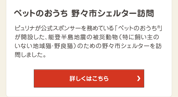 ペットのおうち 野々市シェルター訪問