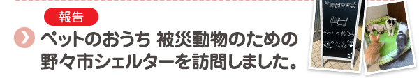 【報告】ペットのおうち 被災動物のための野々市シェルターを訪問しました。