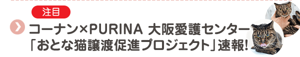 【注目】コーナン×PURINA 大阪愛護センター「おとな猫譲渡促進プロジェクト」速報！