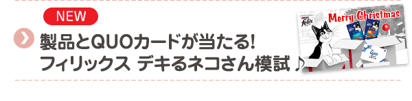 【NEW】製品とQUOカードが当たる！フィリックス デキるネコさん模試♪