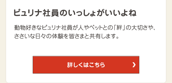 動物好きなピュリナ社員が人やペットとの「絆」の大切さや、ささいな日々の体験を皆さまと共有します。