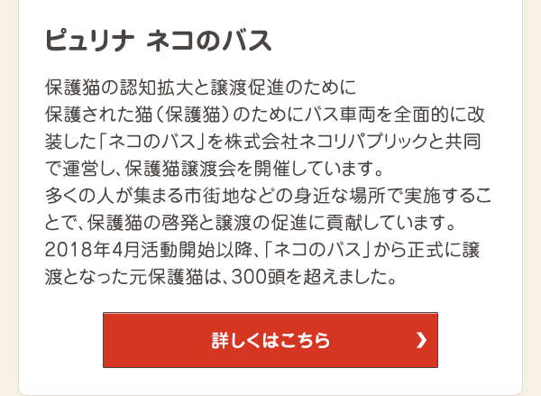 保護猫の認知拡大と譲渡促進のために　保護された猫（保護猫）のためにバス車両を全面的に改装した「ネコのバス」を株式会社ネコリパブリックと共同で運営し、保護猫譲渡会を開催しています。多くの人が集まる市街地などの身近な場所で実施することで、保護猫の啓発と譲渡の促進に貢献しています。2018年4月活動開始以降、「ネコのバス」から正式に譲渡となった元保護猫は、300頭を超えました。