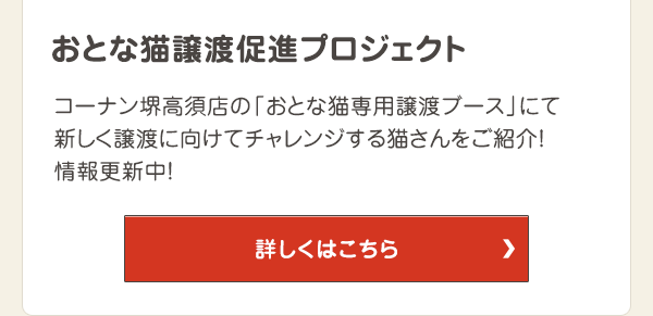 コーナン堺高須店の「おとな猫専用譲渡ブース」にて新しく譲渡に向けてチャレンジする猫さんをご紹介！情報更新中！