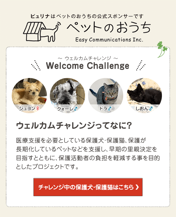 「ペットのおうち」でウェルカムチャレンジ中の保護犬・保護猫はこちら