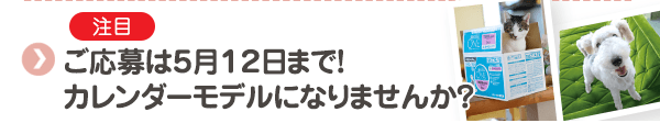 ご応募は5月12日まで！カレンダーモデルになりませんか？