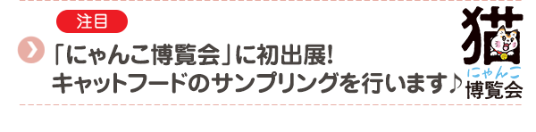 【注目】＼猫好きさんの祭典♪／「にゃんだらけvol.18」に出展します！